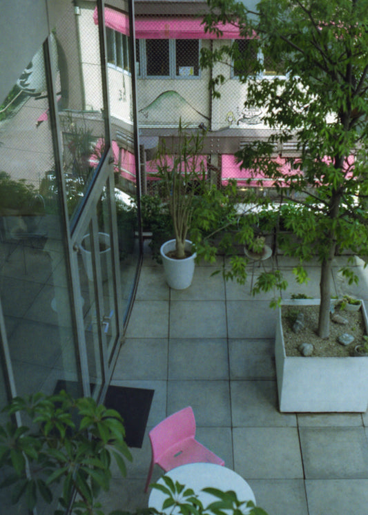 pink and green